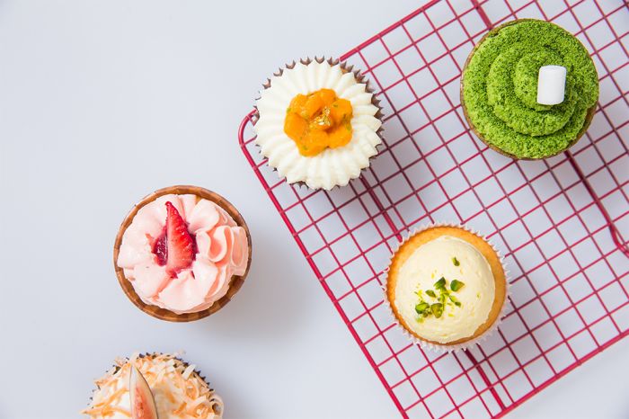 西點(diǎn)全科精英班